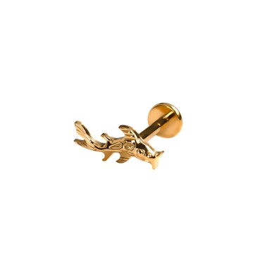 Titāna labrete ar koi karpas dizainu