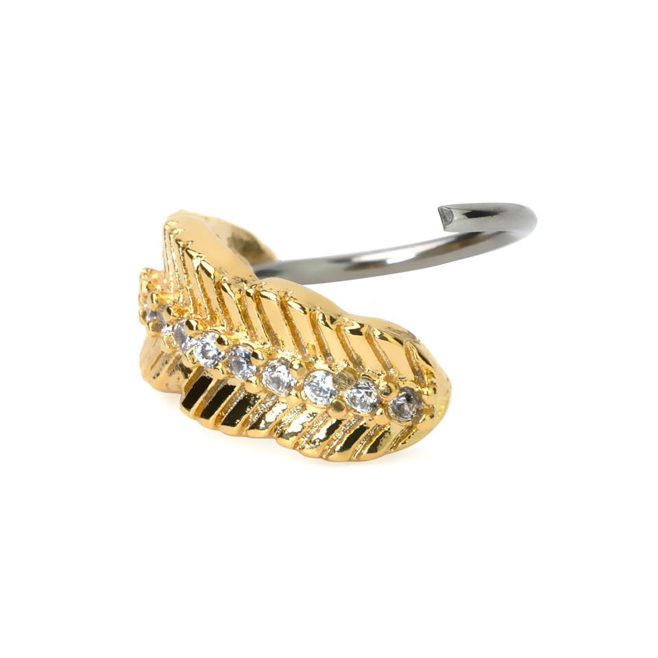 Pīrsingu gredzens dažādās krāsās un dizainos